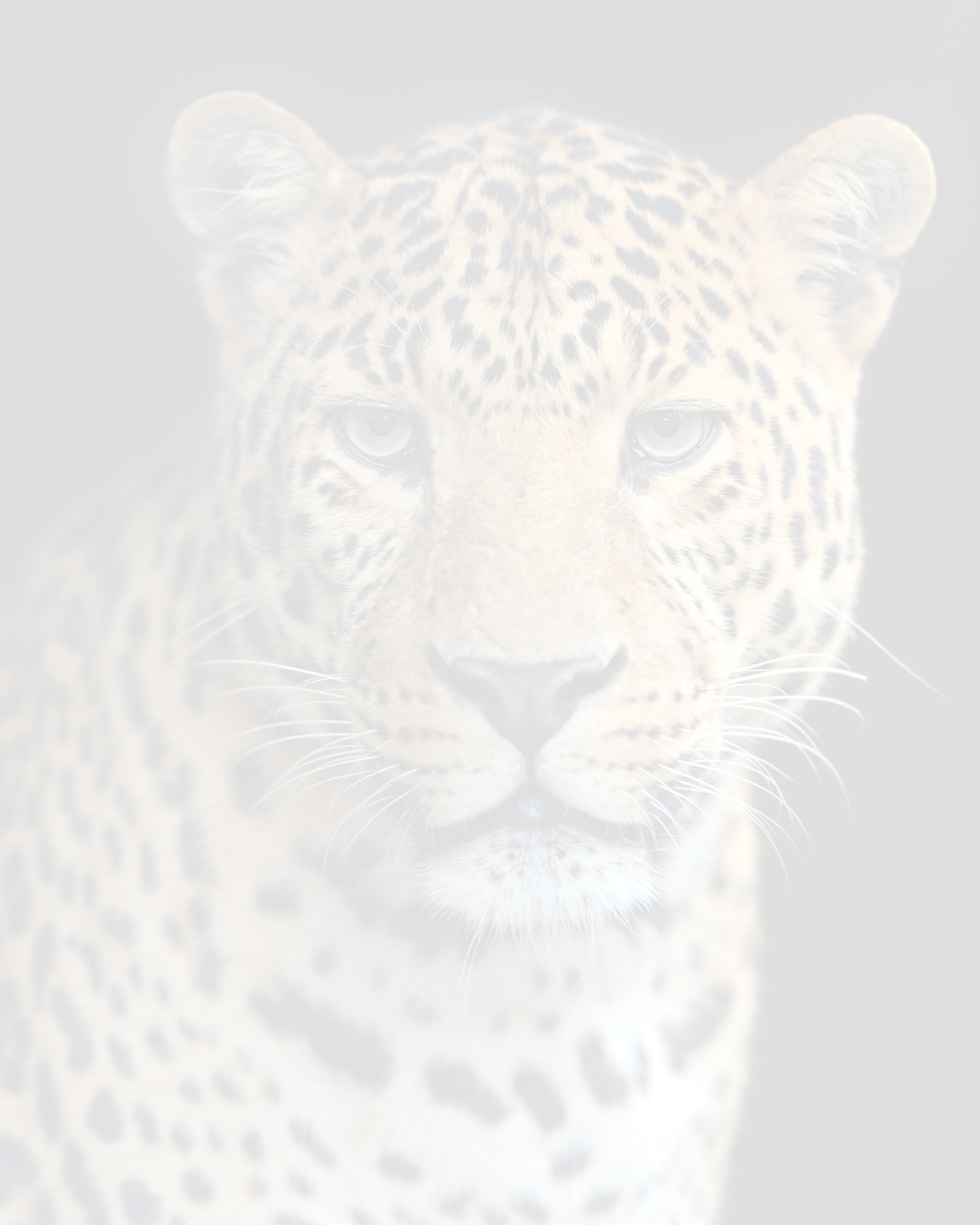 ANIMALS INSTINCTS