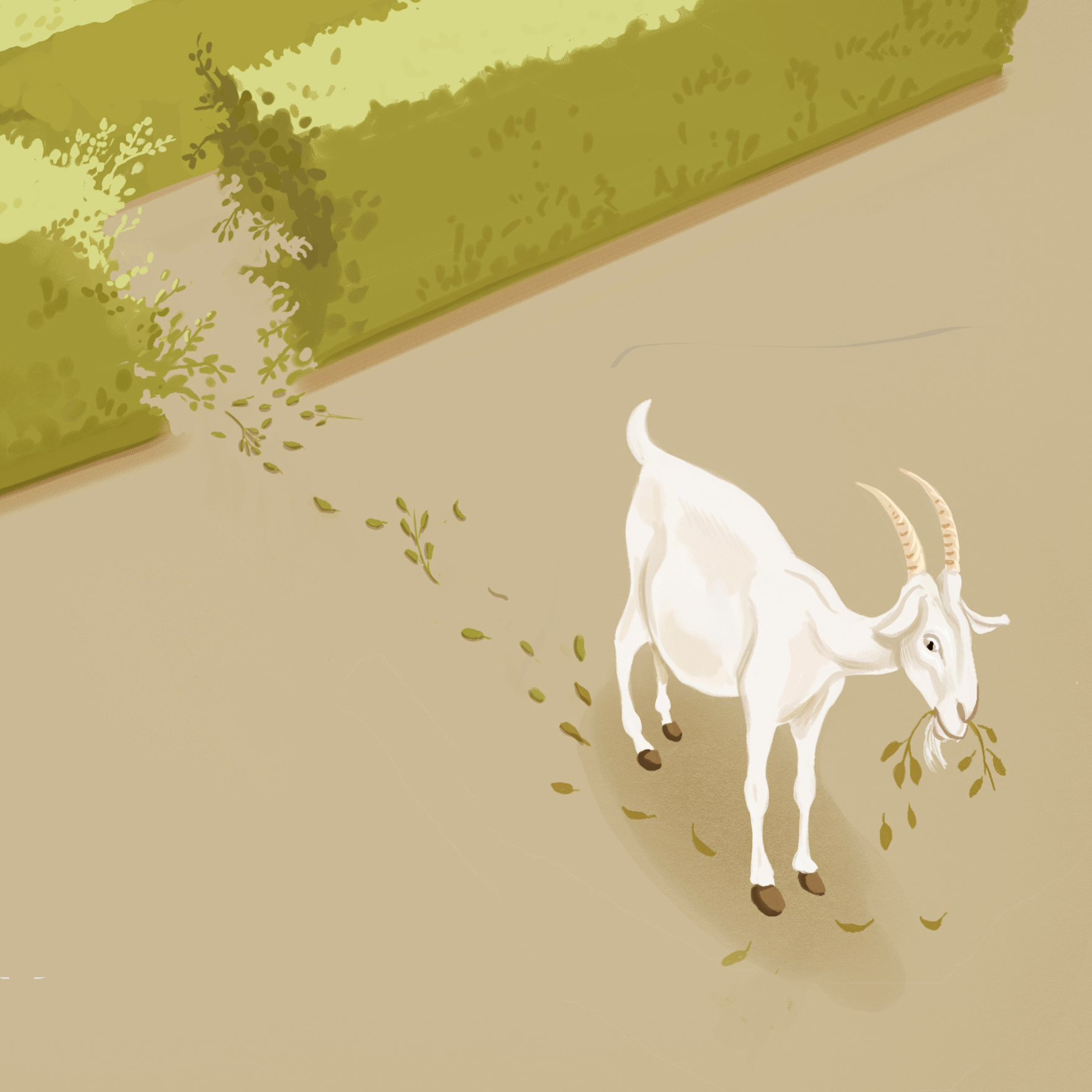 III. Pattern Breaker